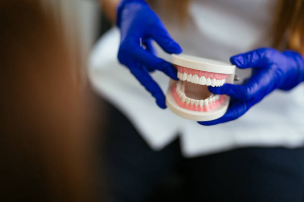 Best Dental Fillings (Composite and Amalgam)  in Concord, NH